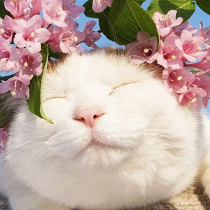 灌了春药不准穿内裤H
